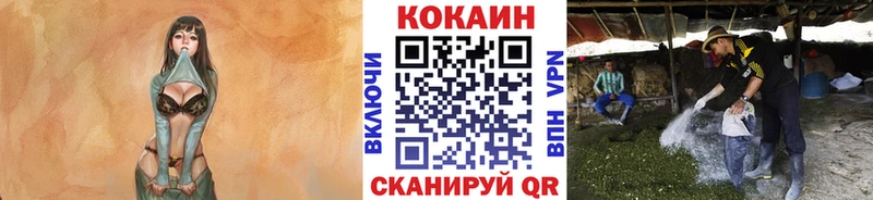 КОКАИН Fish Scale  Купить  Чаплыгин 