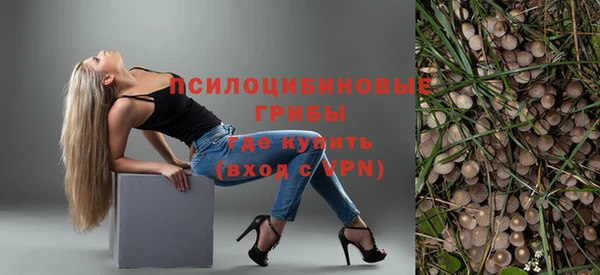 стафф Верея