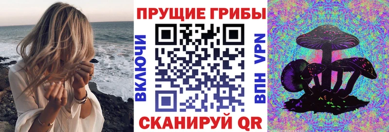Купить где  Чаплыгин  Псилоцибиновые грибы Psilocybine cubensis 